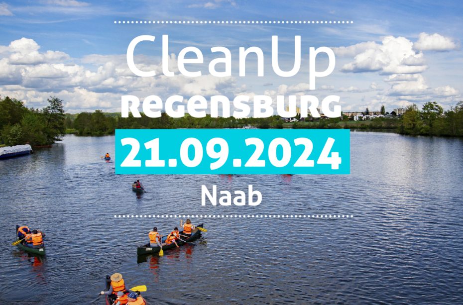 Banner_CleanUp_Regensburg_1x1_KA_240607