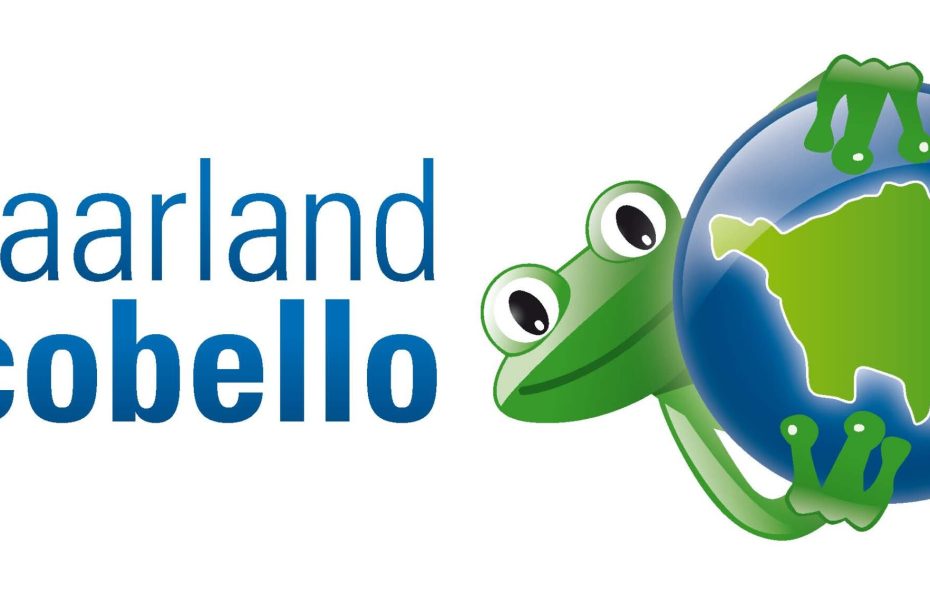 Picobello Logo.jpg.jpg